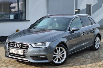 2,0 TDI 150KM Xenon Led Navi Kamera Opłacony !